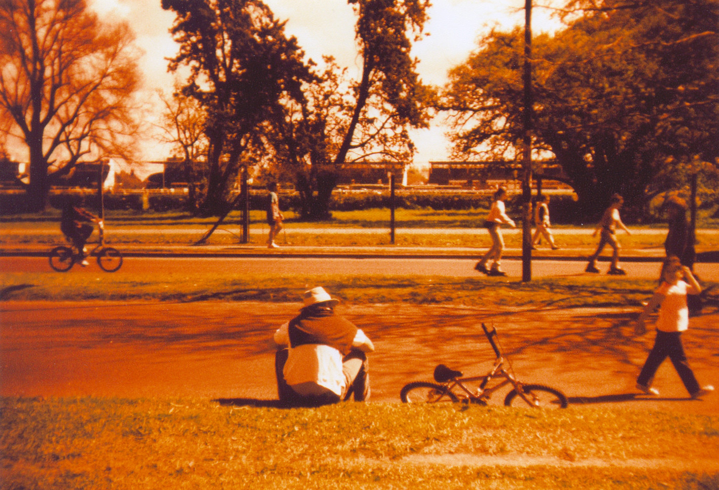 lomography